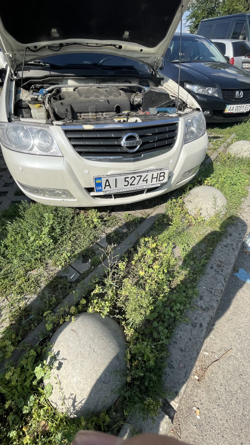 Парктронік на 8 датчиків Nissan Almera classic
