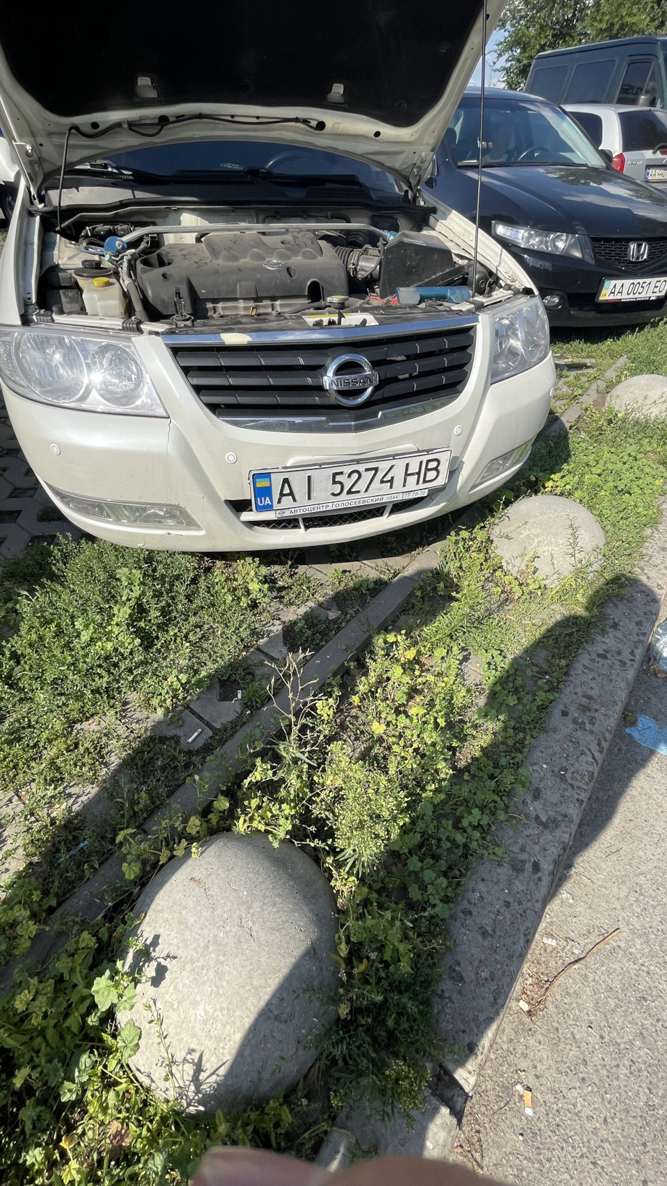Парктронік на 8 датчиків Nissan Almera classic 1