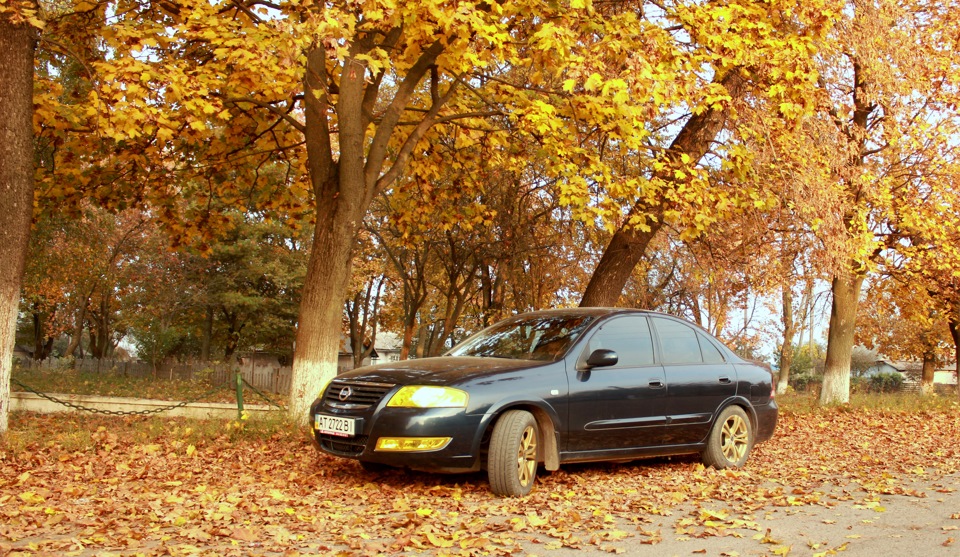 І в нас осінь... 1