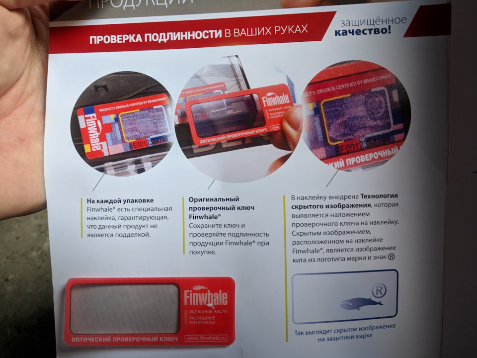Заміна передніх амо на Finwhale 4