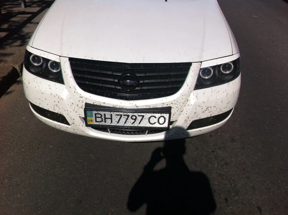 Дружня рада)