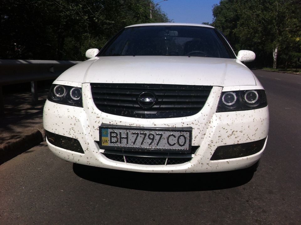 Дружня рада) 2