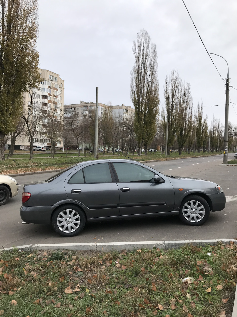 Багато роботи! 1