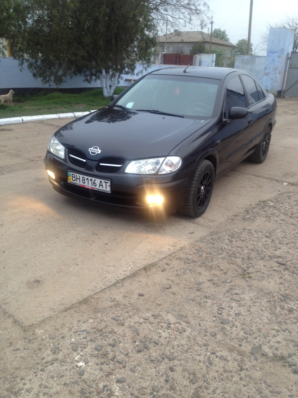 Ксенон 1