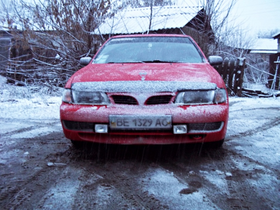 зимочка 5
