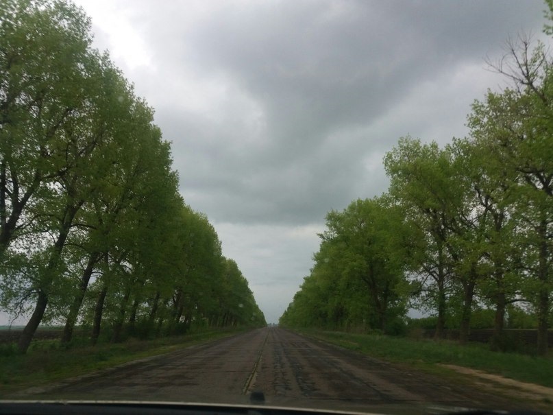 Дорога у Кривий Ріг або наші ями найкращі. 2
