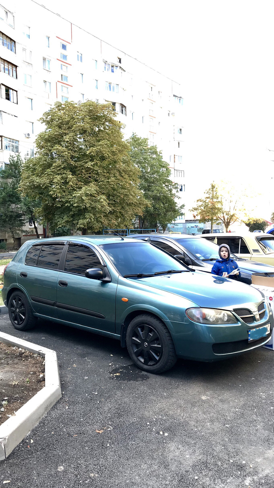 Дифлектори або вітровики. 1