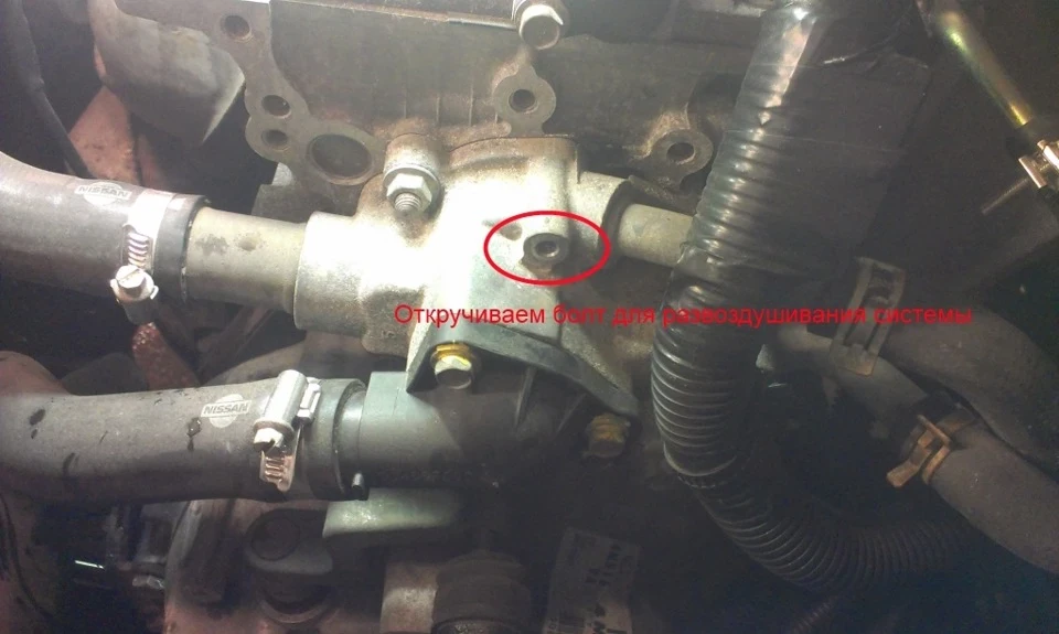 Заміна тосолу almera n16
