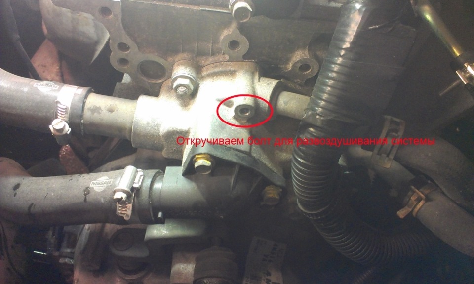 Заміна тосолу almera n16 1