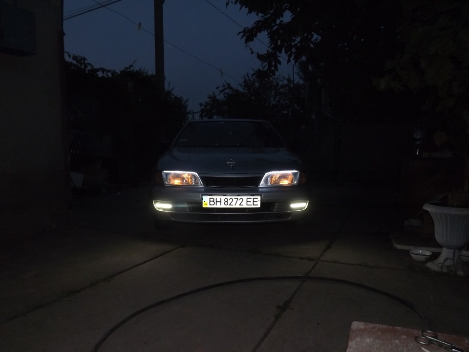 ДХО та брови для моєї ластівки 2
