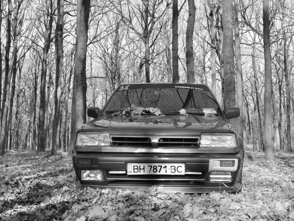 Осінній фотосет