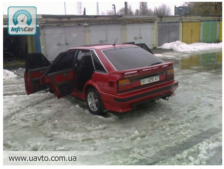 Кожзам у блюберді 1
