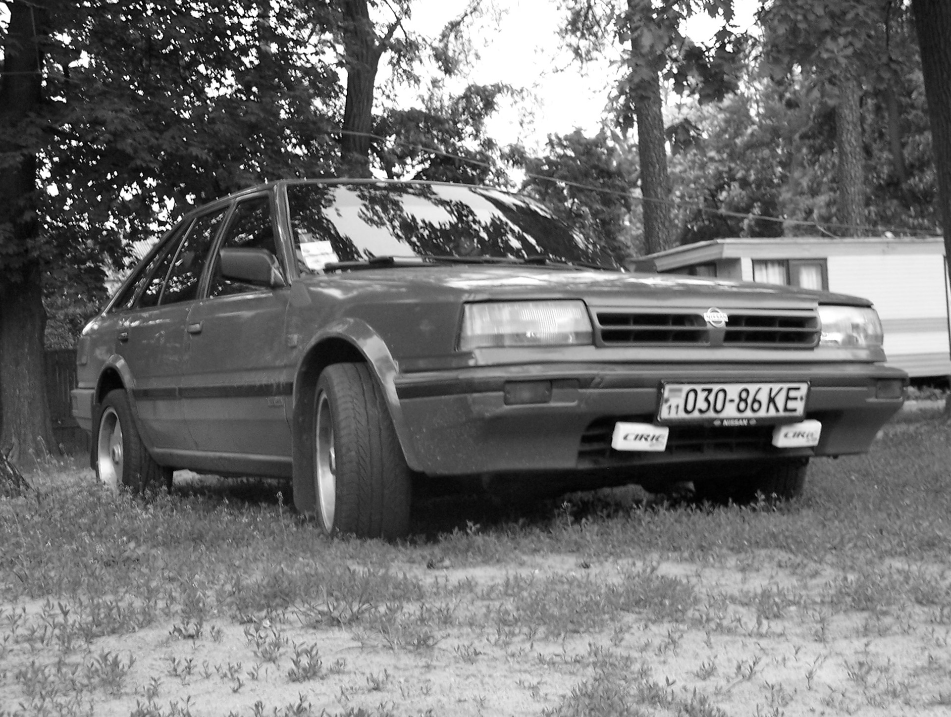 Просто свіжі фоточки 1