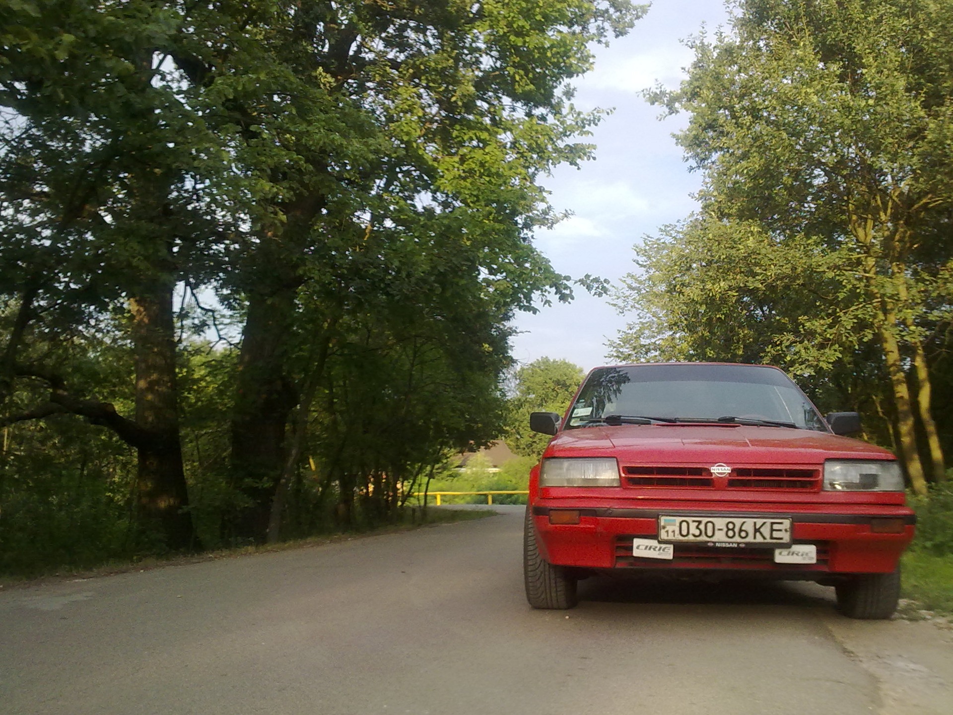 Просто свіжі фоточки 4