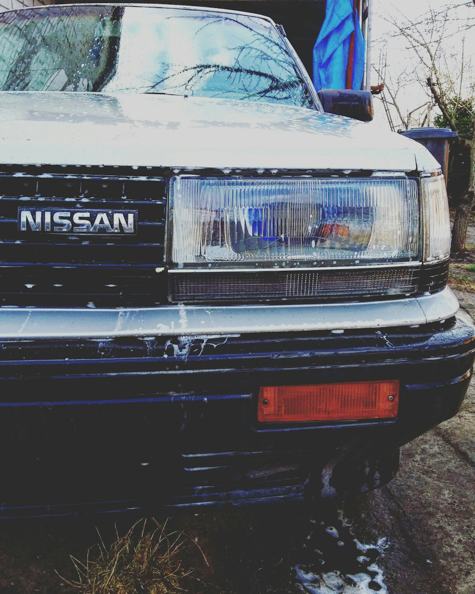 Просто птахів 3