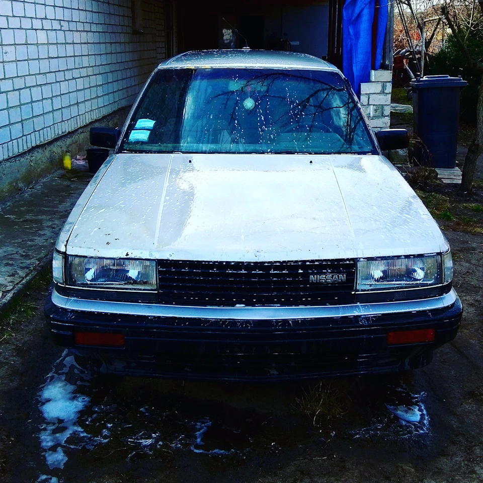 Просто птахів