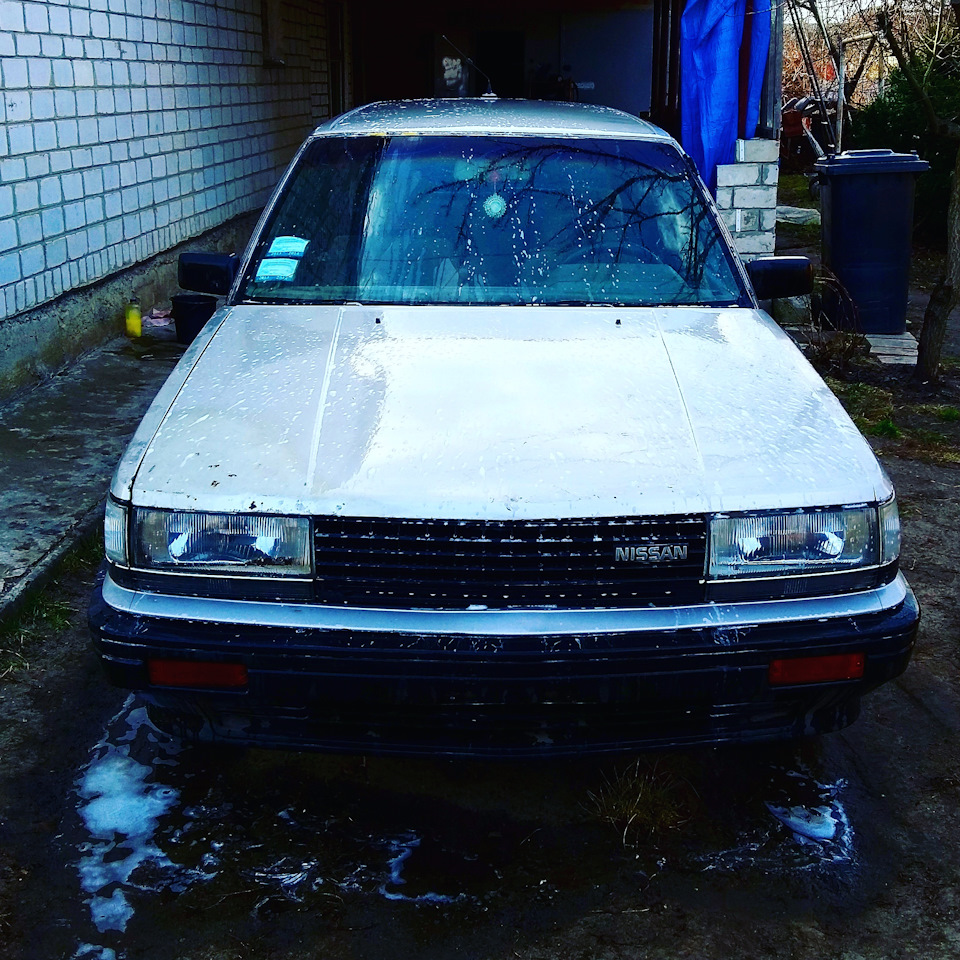 Просто птахів 1