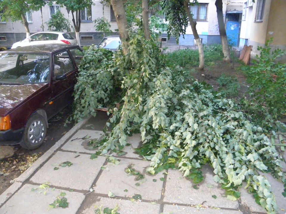 Люблю грозу на початку травня… 2