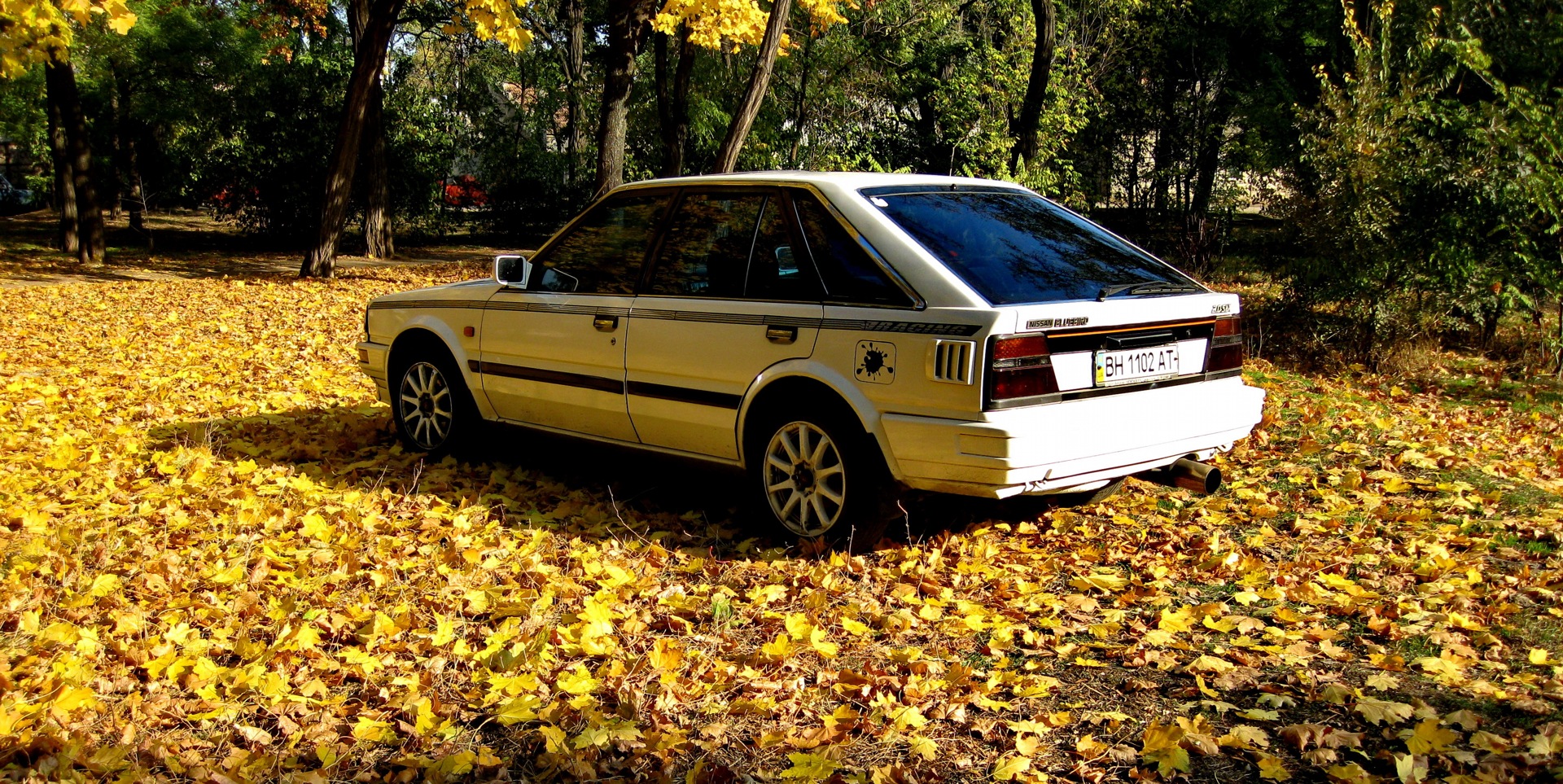 Осінь 3