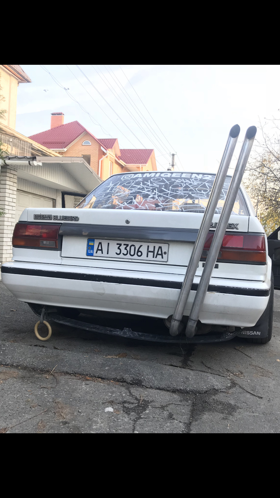 Шо по кущі? 3