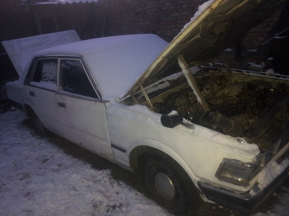 фотосесія)) перші поступи 1