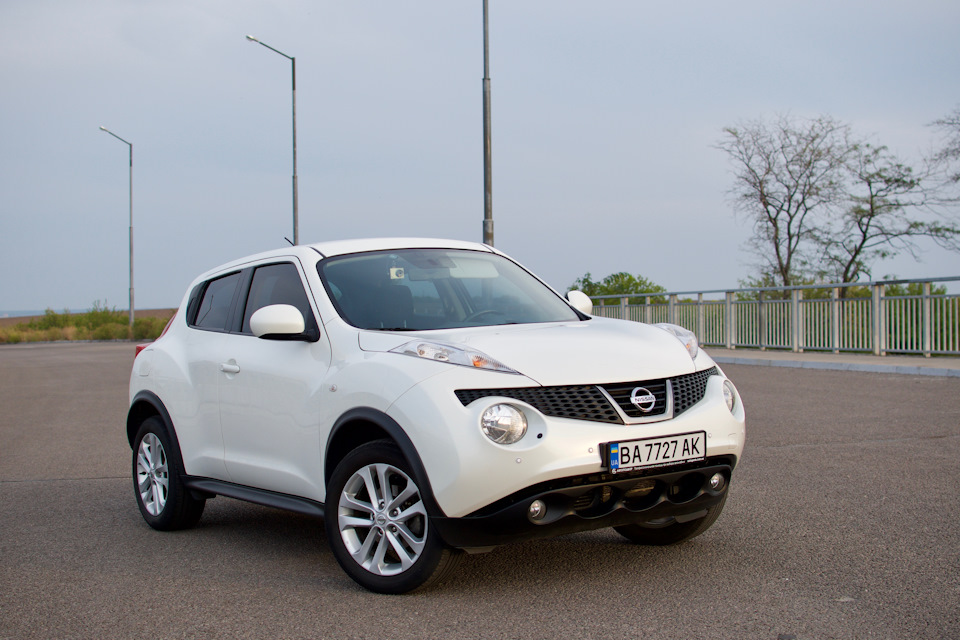 Жук продан. 3
