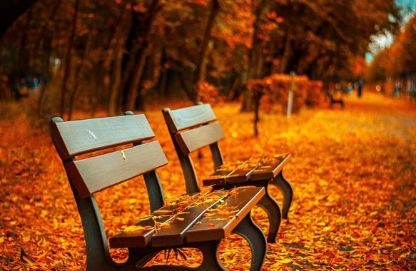 Weather is autumn winter. Overused 1