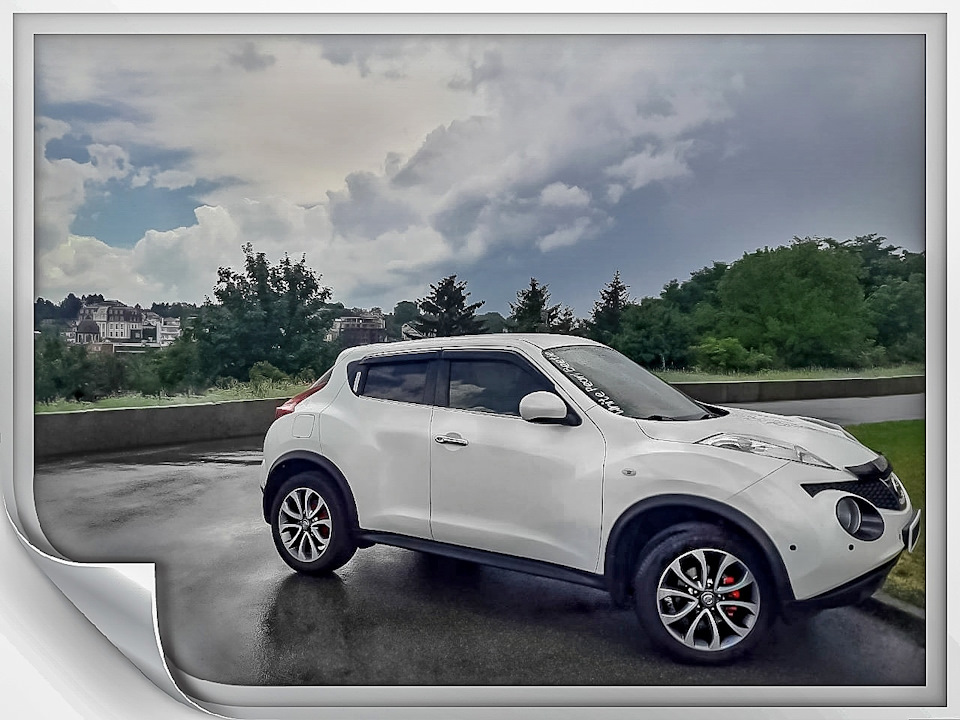White pearl beetle втілення. 4