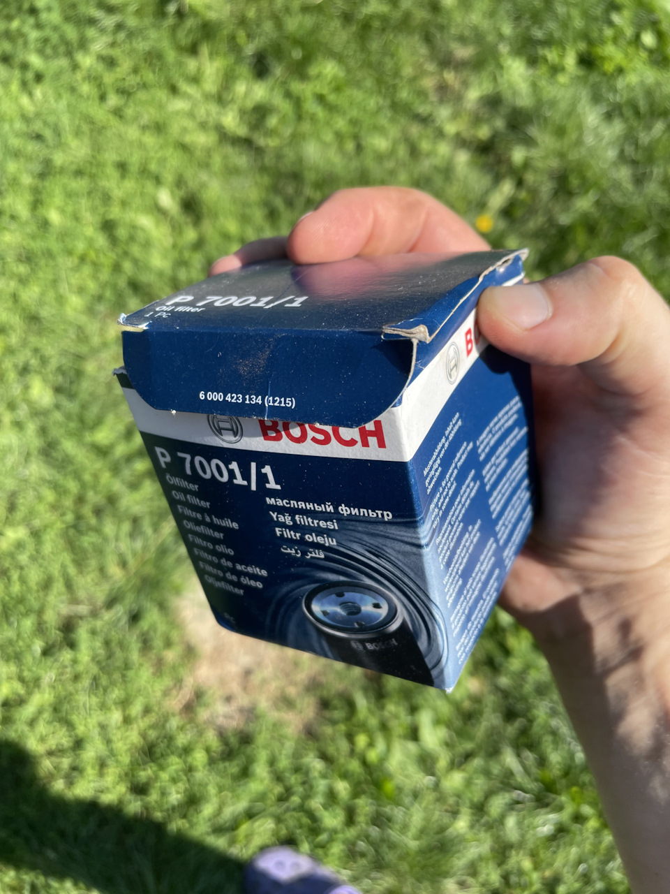 Олія 2