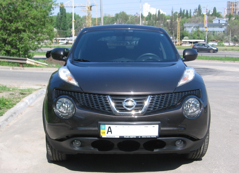 Перша весна Жужі 2