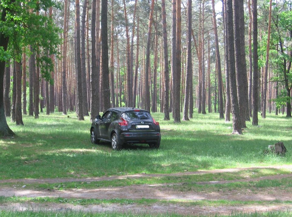 Просто фотки 3