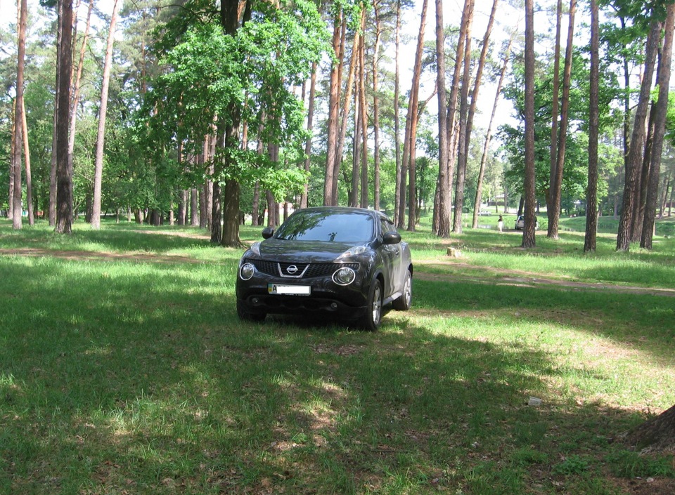Просто фотки 1