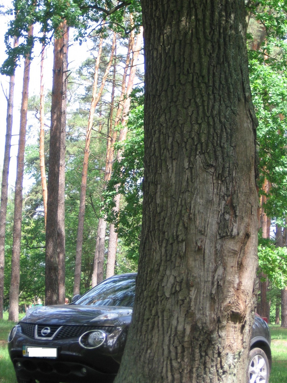 Просто фотки 2