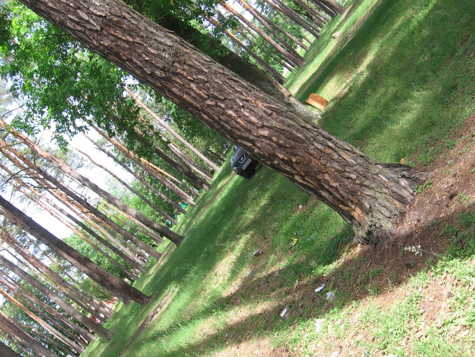 Просто фотки 5
