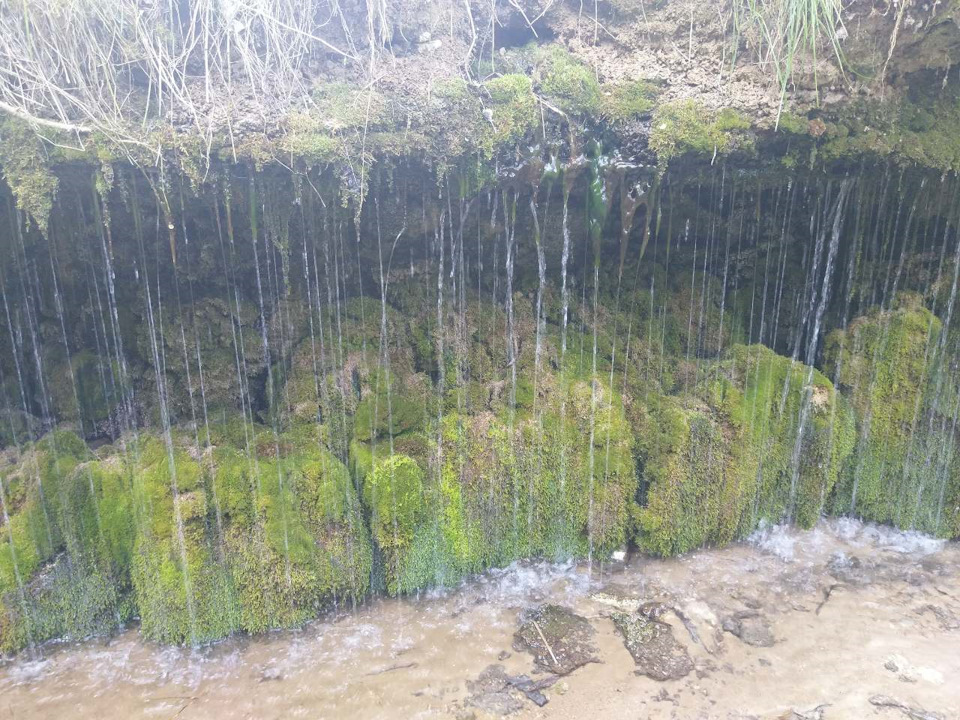 Екко на природі. 2