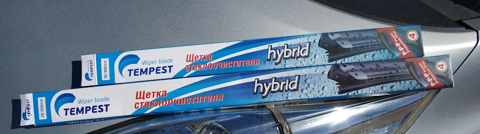 004. Двірники 1