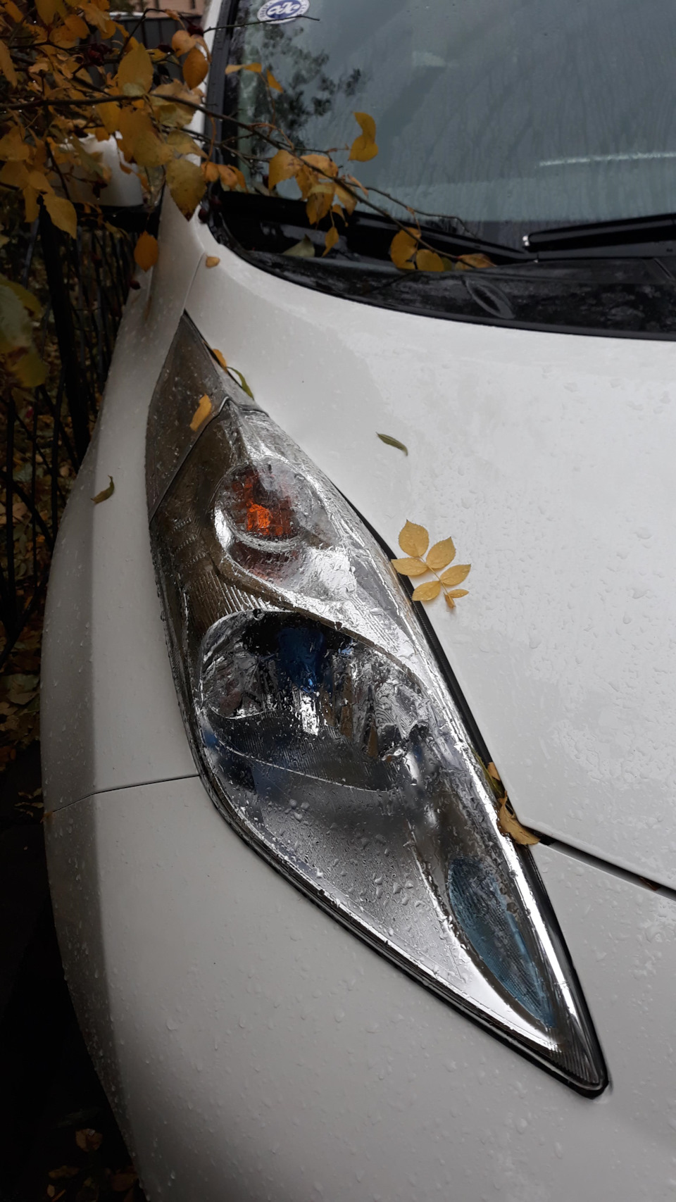 Осінній лист 1