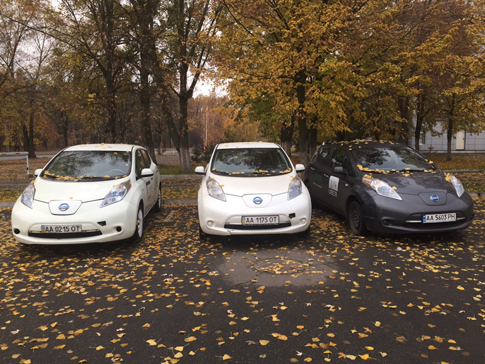 Скільки може прожити Leaf на прикладі таксі 2