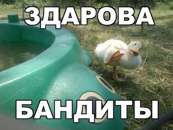 Діодні війни. Епізод 2. 1