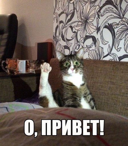 Дібрався до підвіски 1