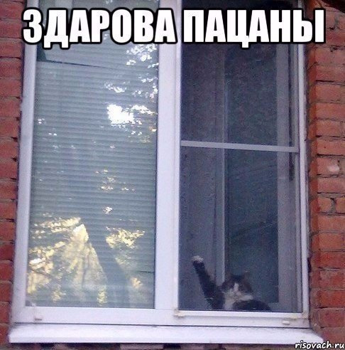 Ломай мене повністю… 1