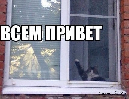 Настав час перших вражень та обслуговування 1