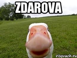 Зроблено за вихідні+фото ремонту 1