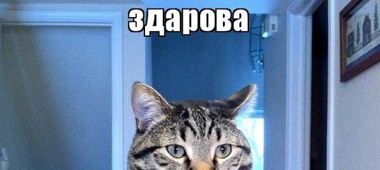 Зима пройшла. Що належить зробити... 1
