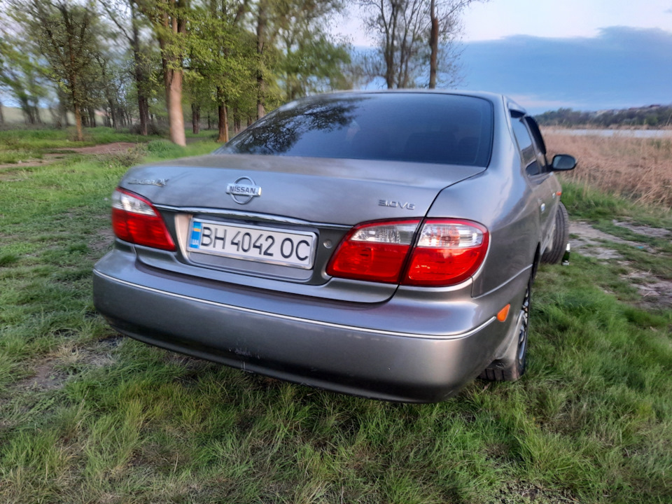 Виїзд на природу 2