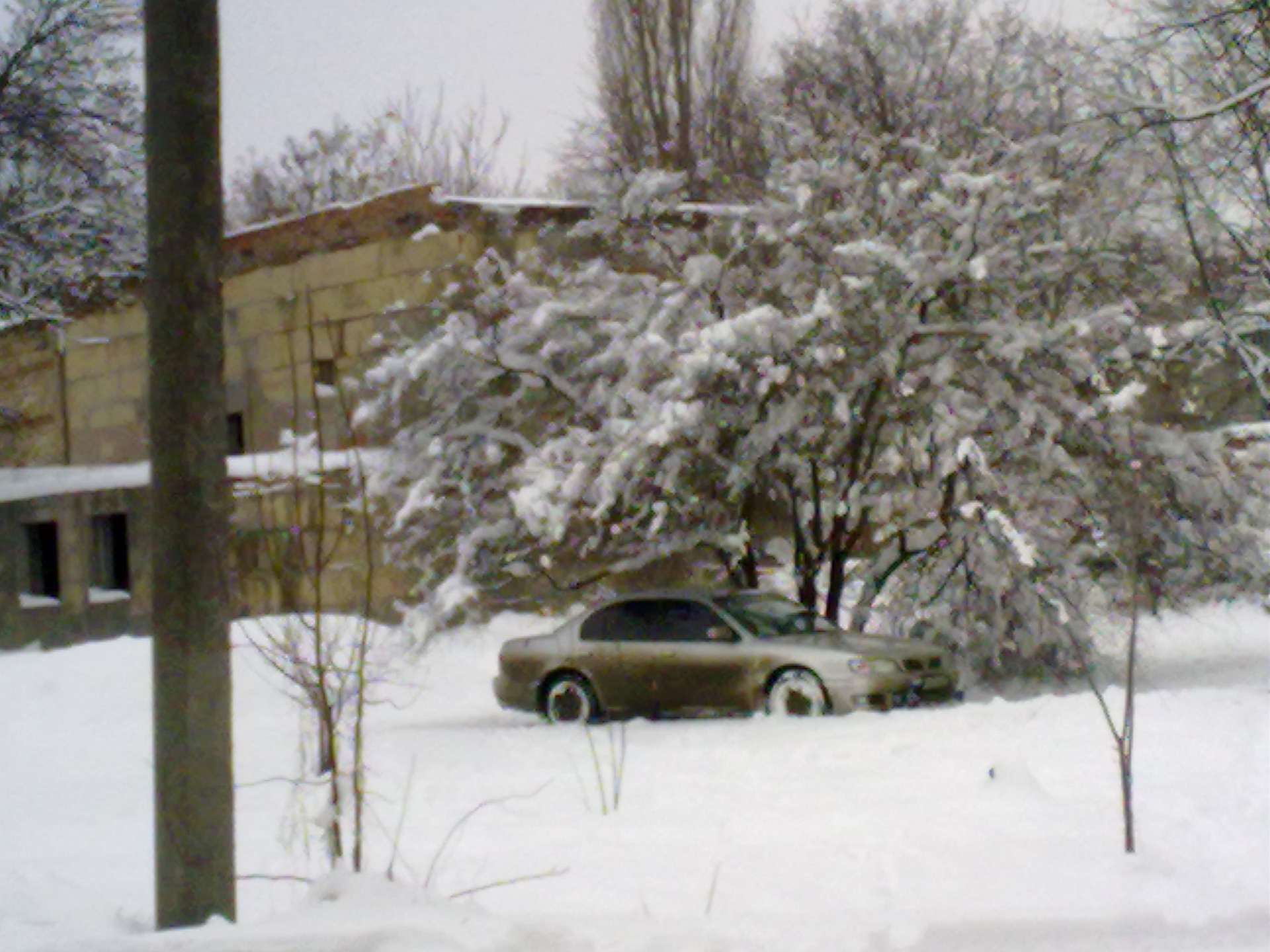 фото made in псих.лікарня №1… 5