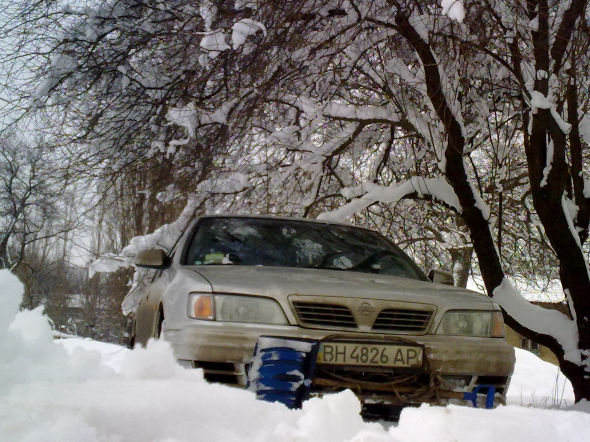 фото made in псих.лікарня №1… 3