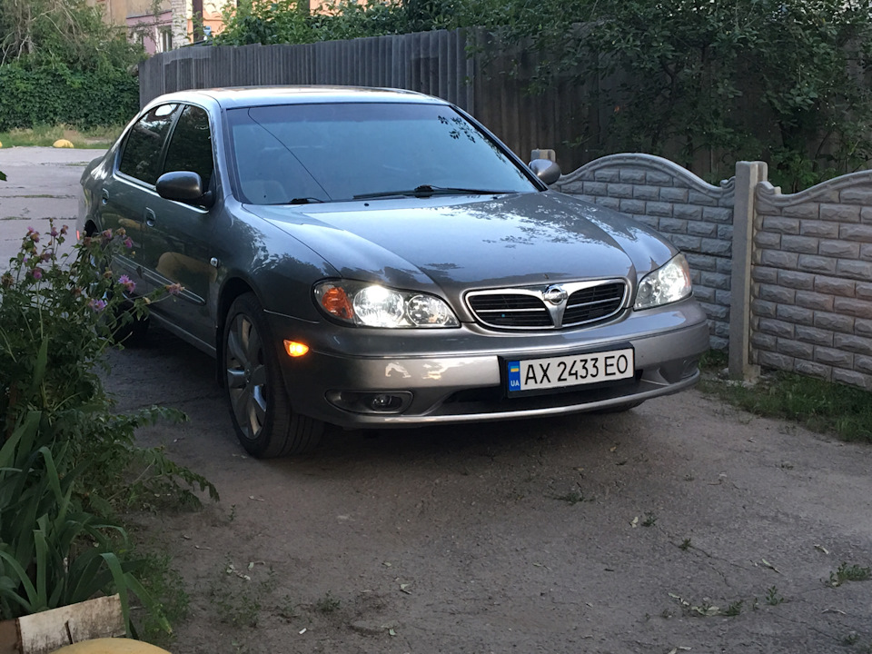 Фарбування 5