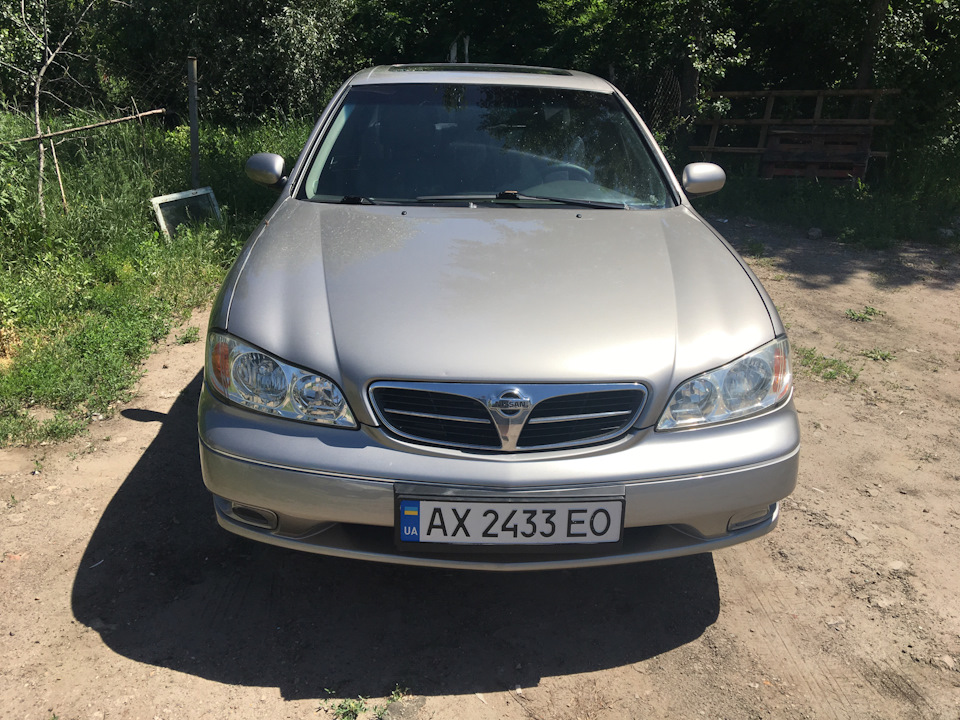 Фарбування 3