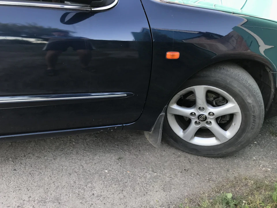 Заводські бризговички
